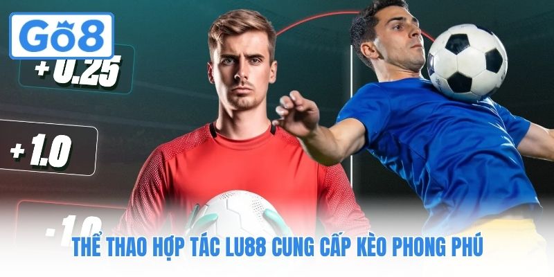 Thể thao hợp tác Lu88 cung cấp kèo phong phú